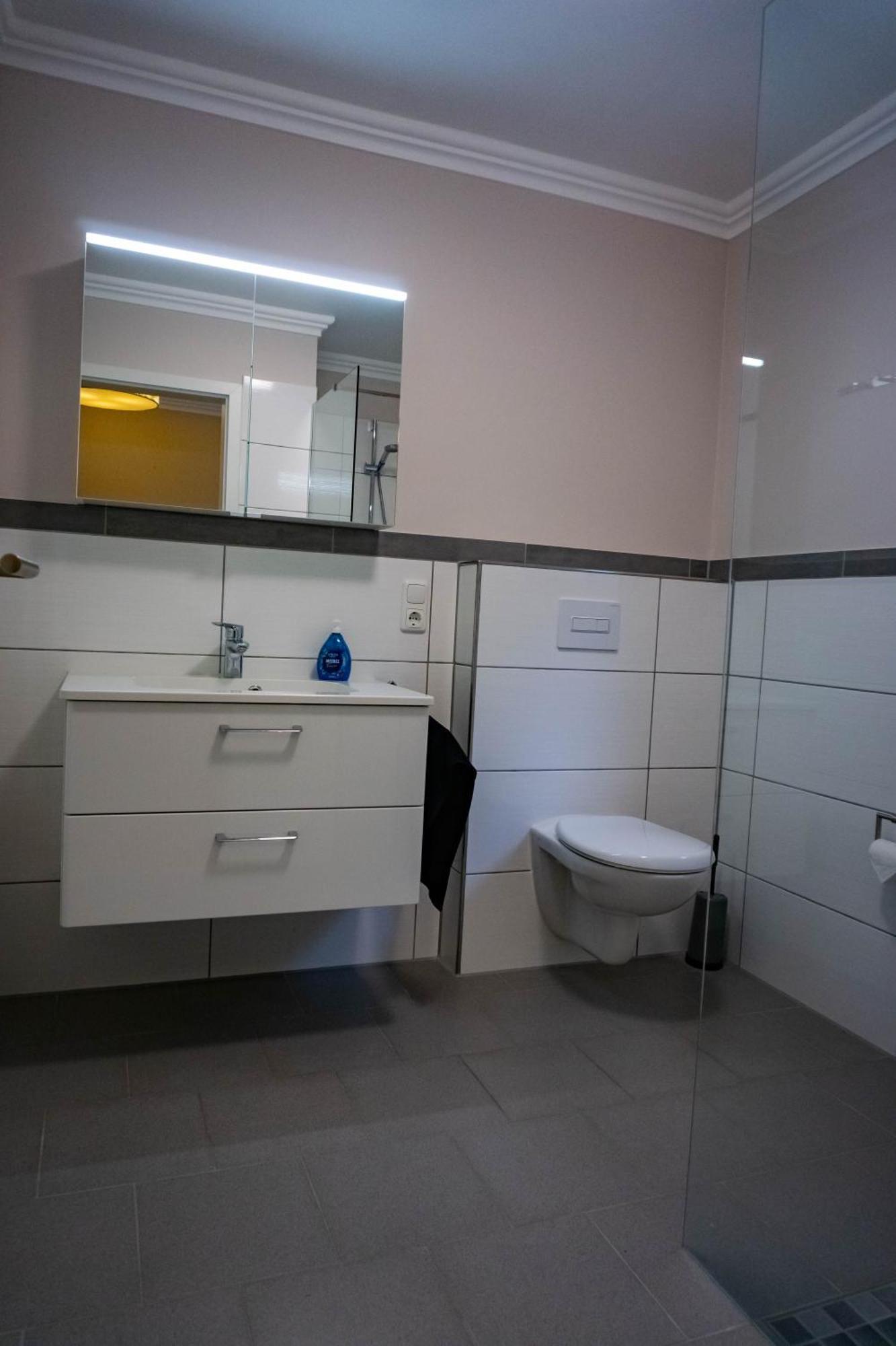 Appartement Haus Strandlust- Gemuetliches Studio Direkt Am Duemmer à Lembruch Extérieur photo
