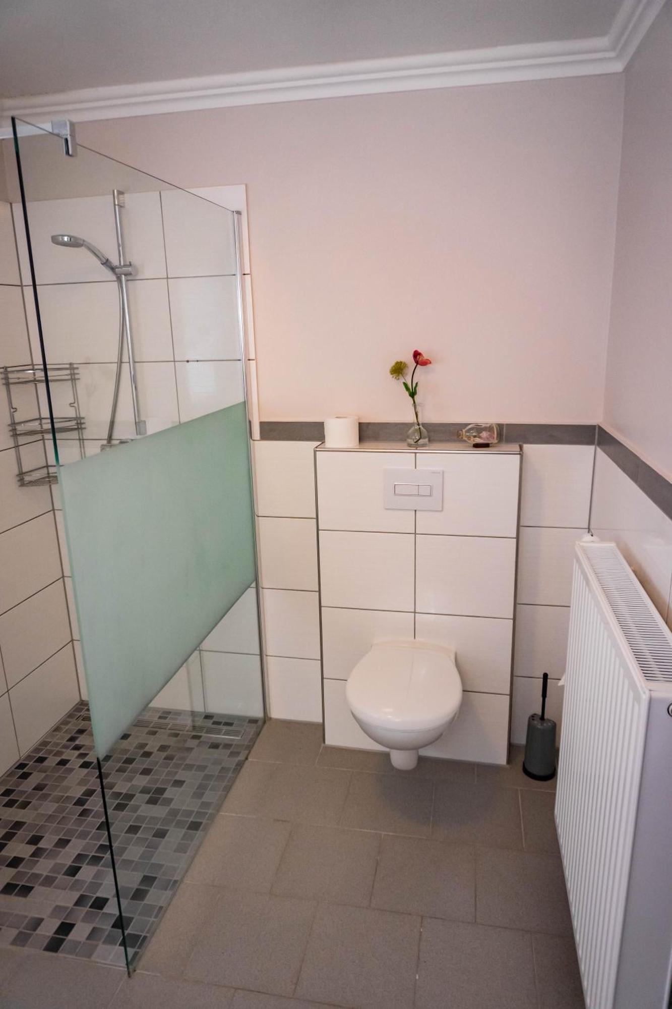 Appartement Haus Strandlust- Gemuetliches Studio Direkt Am Duemmer à Lembruch Extérieur photo